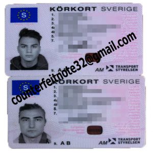 Swedish driver's license